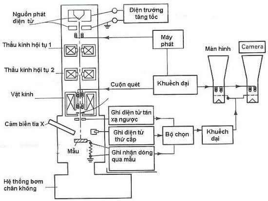 kinh-hien-vi-dien-tu-quet-sem